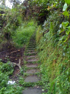 Steps leading to the Saddle